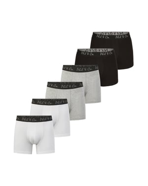 Boxer Briefs Jersey Core 6-Pack