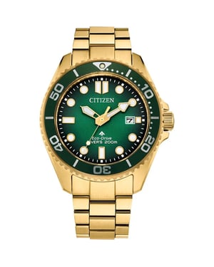 Citizen Promaster Duik Heren Gouden Horloge BN0262-59W