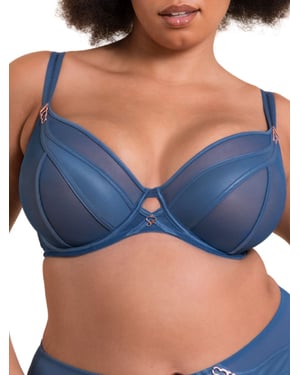 Suspense Plunge Bra