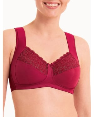Havanna Support Bra
