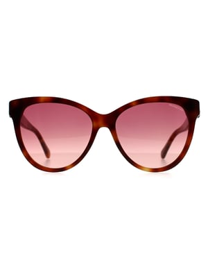 Moncler ML0283 52T havana bordeaux gradiënt zonnebril