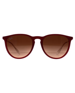 Ray-Ban RB4171 Erika 6815A5 gepolijst rubber violet roze gradiënt bruin zonnebril
