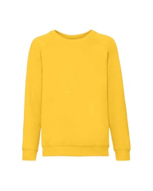 Fruit of the Loom Klassiek Raglan Sweatshirt voor kinderen/Kinderen (Zonnebloem)