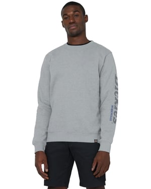 Dickies Grafisch Sweatshirt