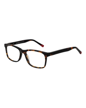 Invu Brilmontuur B4215 B 53