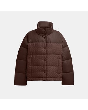 Signature Down Jacket
