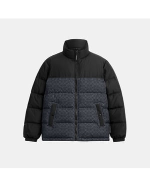 Signature Down Jacket