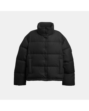 Short Puffer