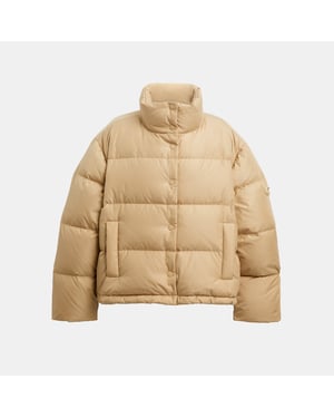 Short Puffer
