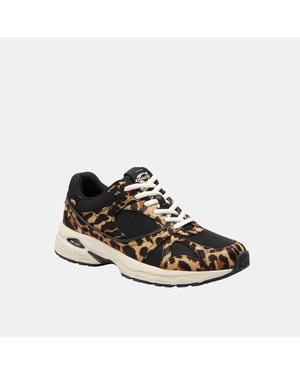 Coach Sport Sneaker