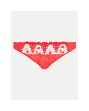Passionata White night brief