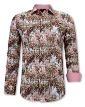 Gentile Bellini Hawaii bruin