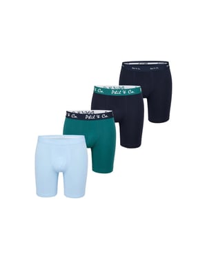 Phil & Co Boxershorts heren met lange pijpen boxer briefs 4-pack blauw / groen