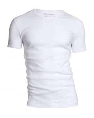 Garage Basis t-shirt v-hals semi bodyfit