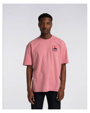 Edwin Tg37.2m4.owt.67.03 sunset fuji rose