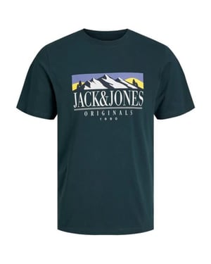 Jack & Jones Jorwalter tee