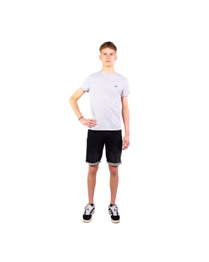 Lacoste Casual t-shirt heren