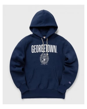 Champion Hooded sweatshirt navy bs558 218652