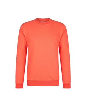 Hønk Sweatshirt