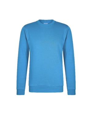 Hønk Zomers sweatshirt