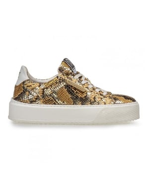 Floris van Bommel Sfw-10106