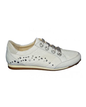 Footnotes 62.006 wijdte h