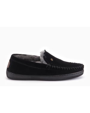 Warmbat Grizzly black