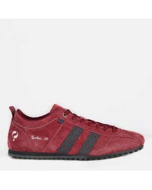 Q1905 Sneaker typhoon sp bordeaux/donkerblauw