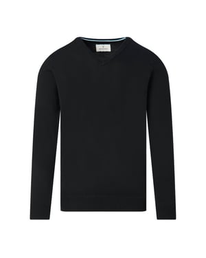 The Blueprint V-neck sweater