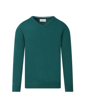 The Blueprint V-neck sweater
