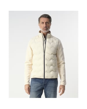 Campbell vest atlas