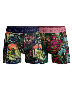 Muchachomalo Boys 2-pack boxer shorts ancient civilizations