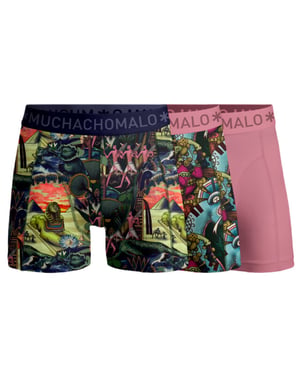 Muchachomalo Boys 3-pack boxer shorts ancient civilizations
