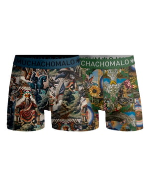 Muchachomalo Boys 2-pack boxer shorts premodern