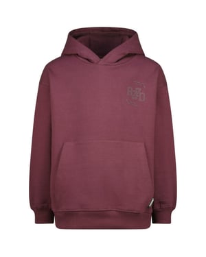 Raizzed Nai aubergine