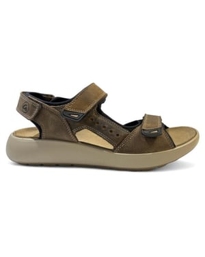 Ara 11-21506 piero