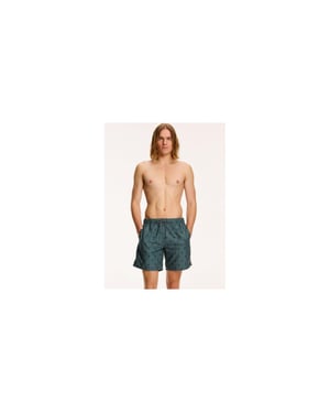 Shiwi men swim shorts shiwi scratch palm