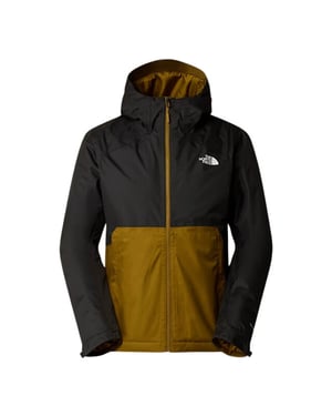 The North Face Casual winterjas heren