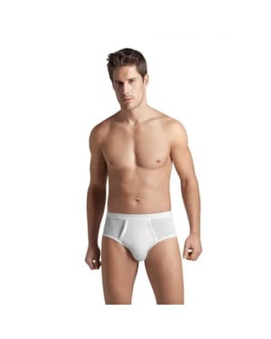 Hanro Briefs h fly