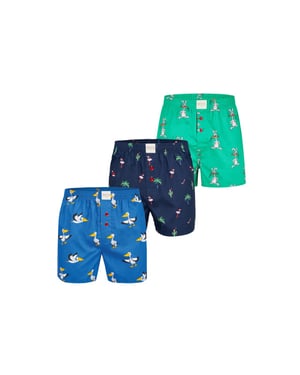 Phil & Co Wijde boxershorts heren met print 3-pack