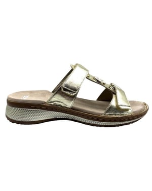 Ara 12-29003 hawaii