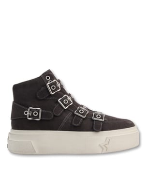 Ash Starmoon buckle