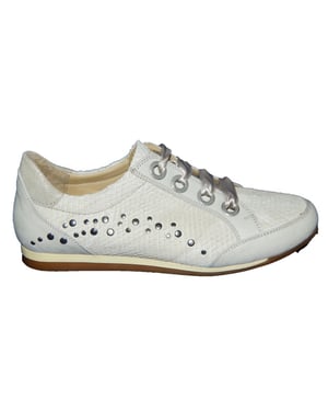 Footnotes 62.006 wijdte g