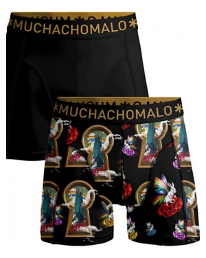 Muchachomalo Boxer overtherain