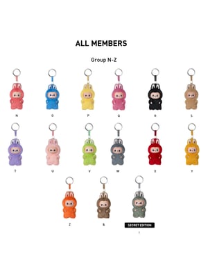Labubu THE MONSTERS Pin For Love N-Z Series - Vinyl Plush Pendant Blind Box