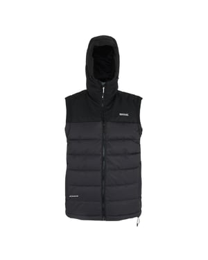 Regatta Mens Aldthorn Body Warmer (Ash/Black)