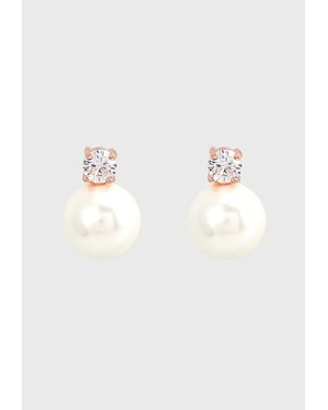US Polo Assn Jewellery Maisie Rosegouden Oorbellen