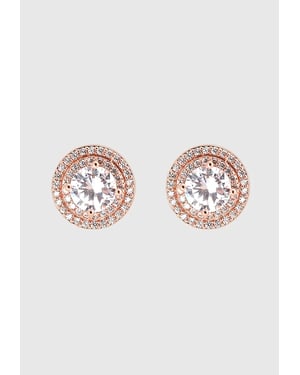 US Polo Assn Jewellery Cristal Rosegouden Oorbellen