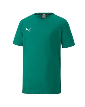 Boy's Puma Juniors TeamGOAL 23 Casuals T-Shirt in Green
