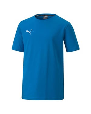 Boy's Puma Juniors TeamGOAL 23 Casuals T-Shirt in Blue